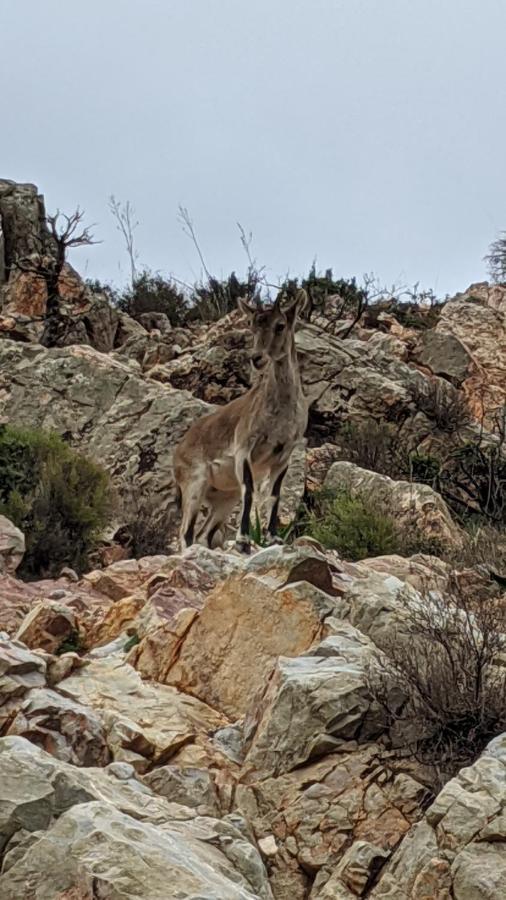 הוילה Salobre  Casa Rustica De Pueblo En Sierra De Alcaraz מראה חיצוני תמונה